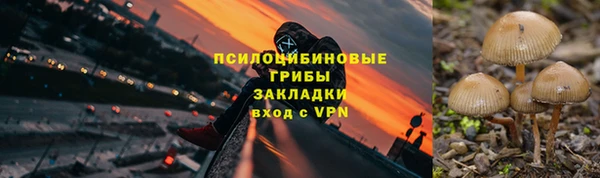 спайс Медногорск