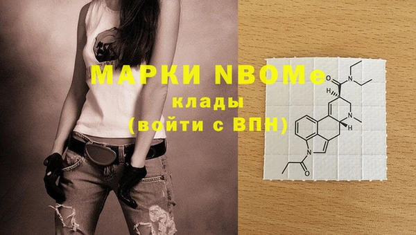 стаф Медвежьегорск