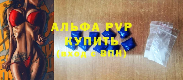 стаф Медвежьегорск